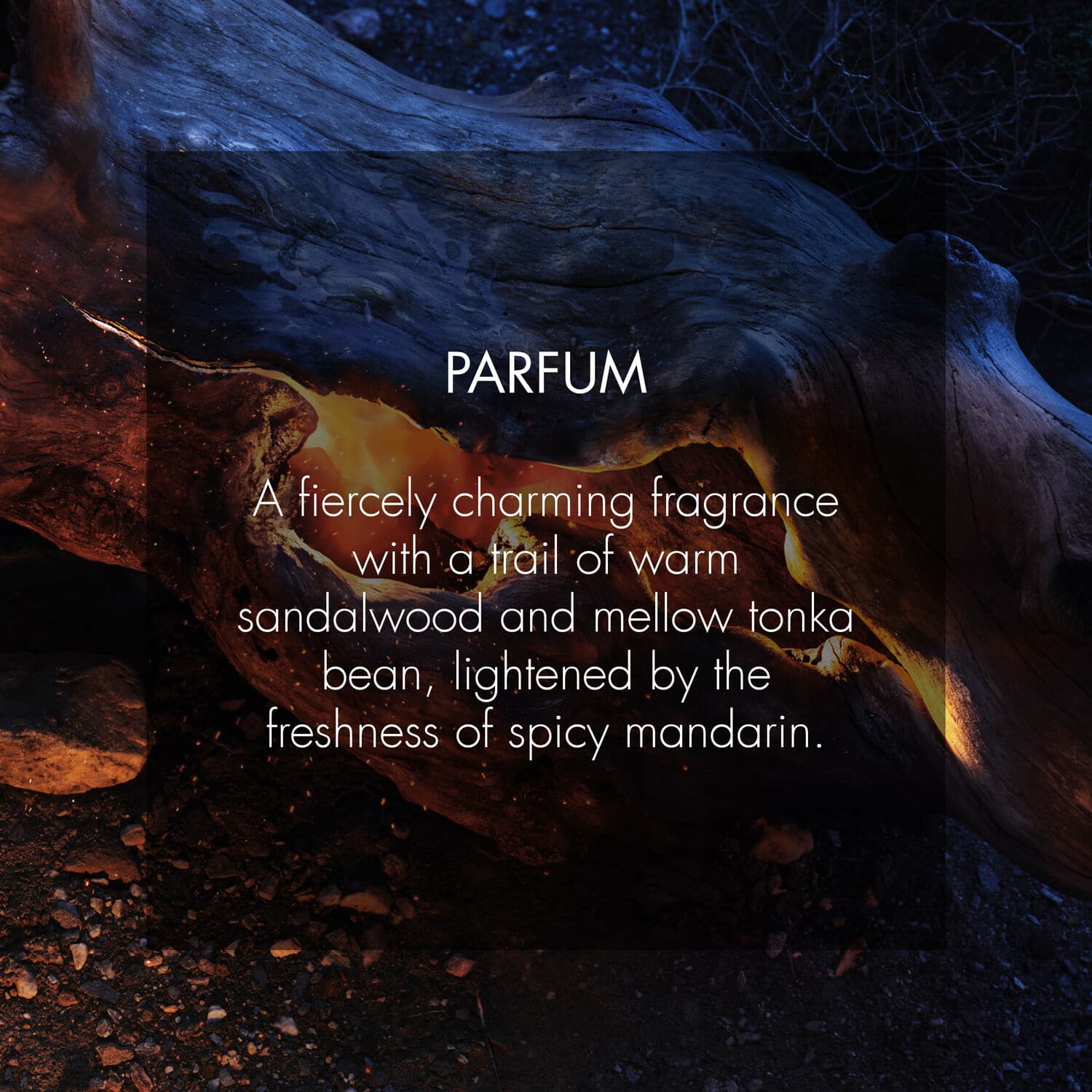 Sauvage* Parfum Sauvage* Parfum - Image 3