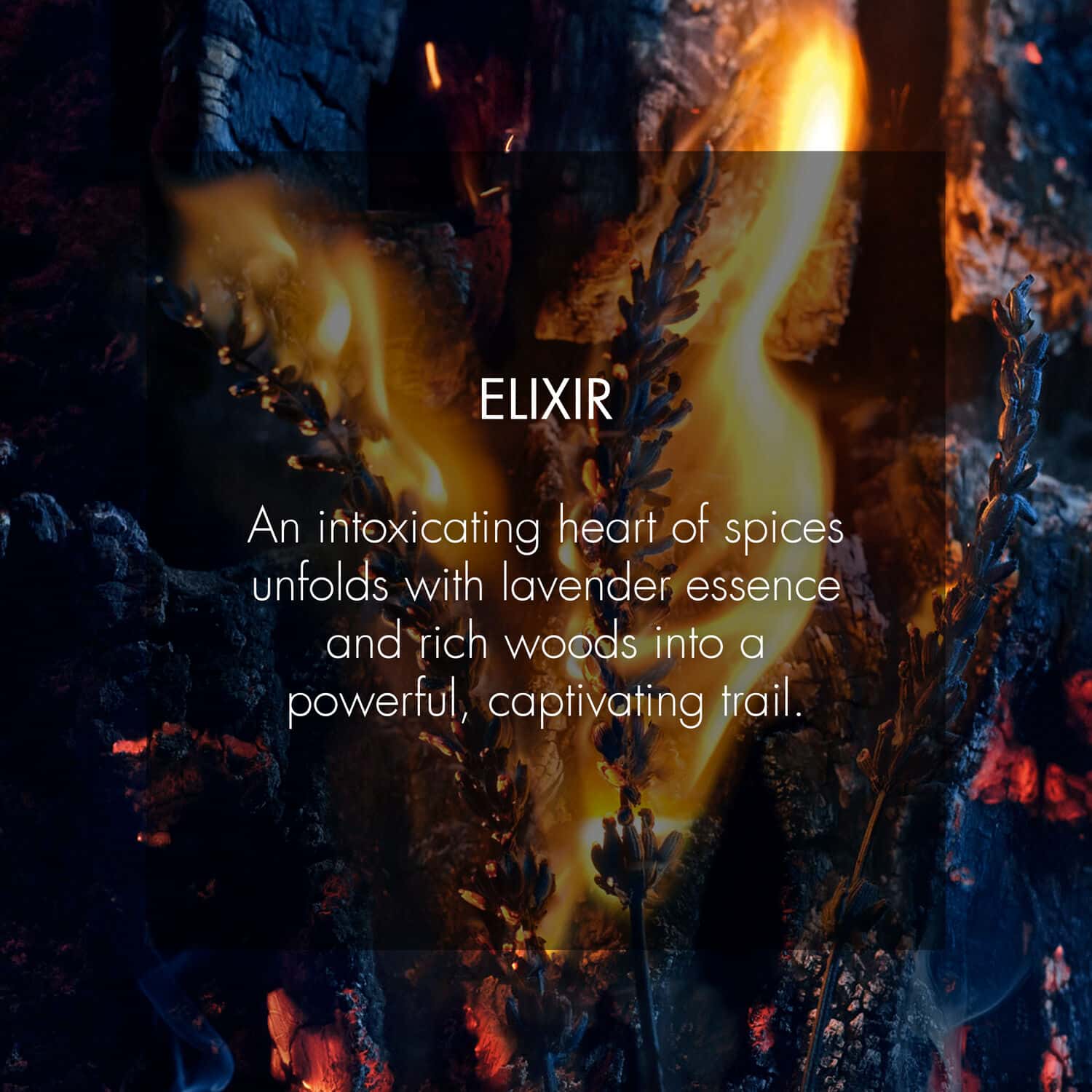 Sauvage* Elixir Sauvage* Elixir - Image 3