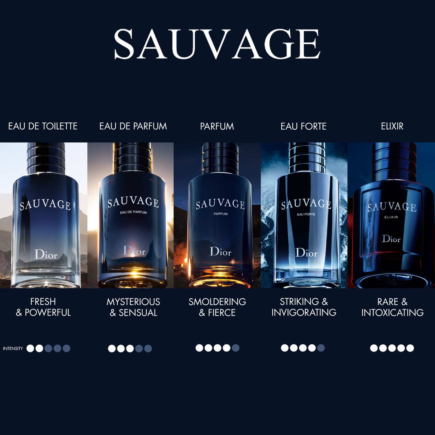 Sauvage* Elixir Sauvage* Elixir - Image 4