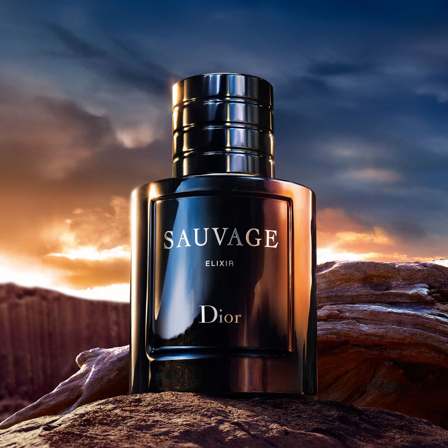 Sauvage* Elixir Sauvage* Elixir - Image 6