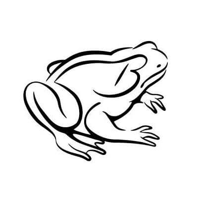 Bullfrog
