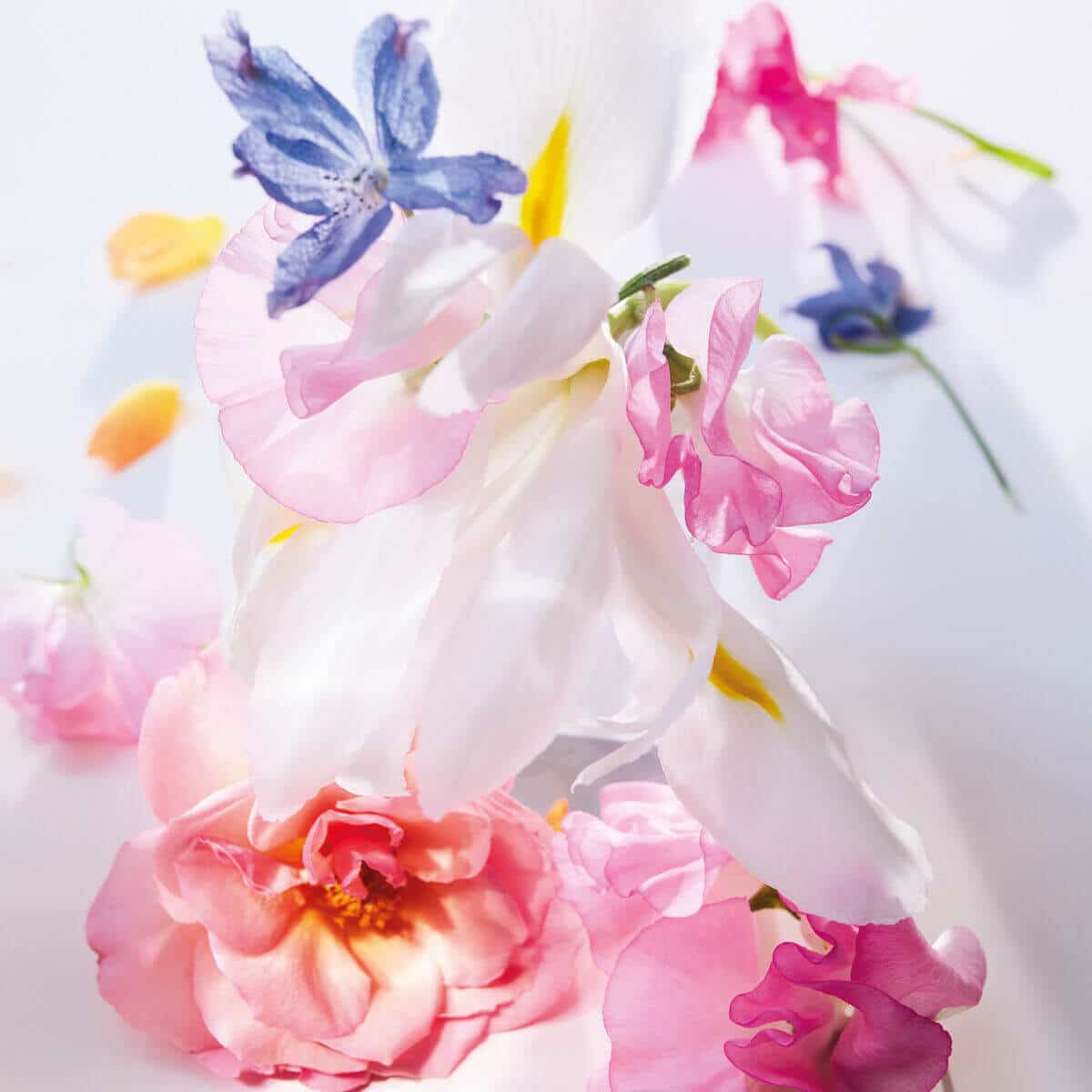 Miss Dior* Eau de Parfum Miss Dior* Eau de Parfum - Image 2