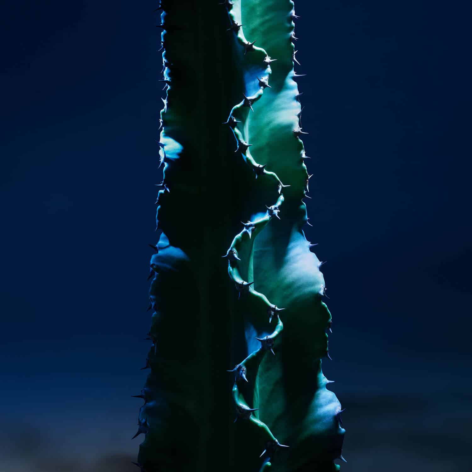 Sauvage* The Face Cleanser Sauvage* The Face Cleanser - Image 2