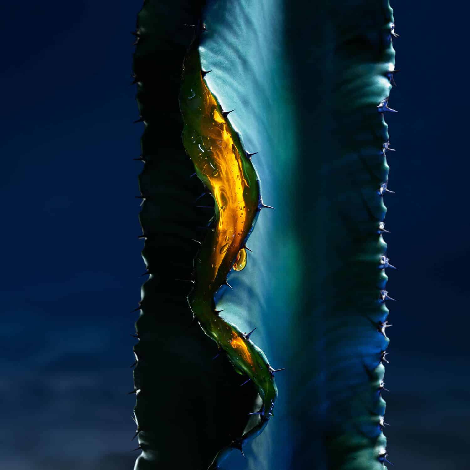 Sauvage* The Face Serum Sauvage* The Face Serum - Image 6