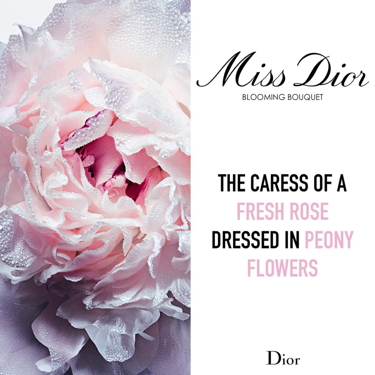 Miss Dior Blooming Bouquet* Roller-Pearl Miss Dior Blooming Bouquet* Roller-Pearl - Image 4