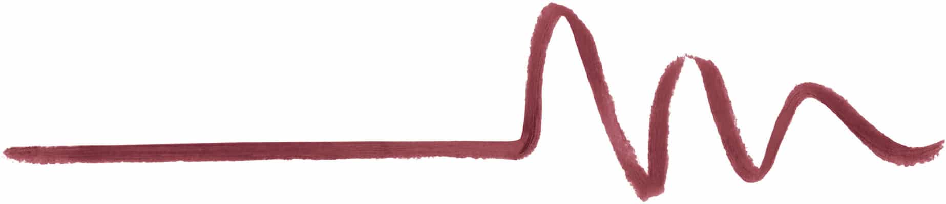 Shiseido Lip Liner Ink Duo Shiseido Lip Liner Ink Duo