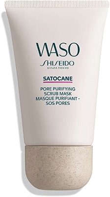 Shiseido Purifying Scrub Mask