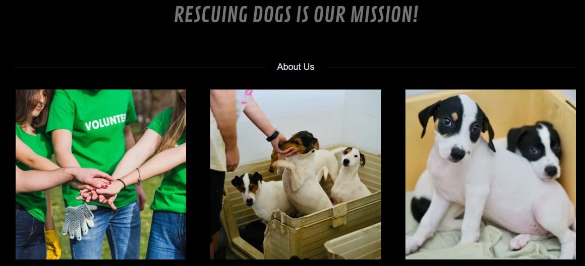 A Different Kind of Love!